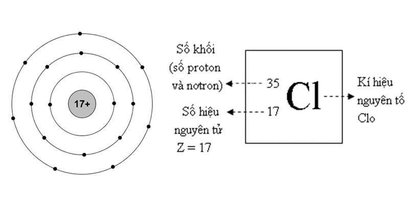 Tại sao clo phản ứng với nhiều chất?